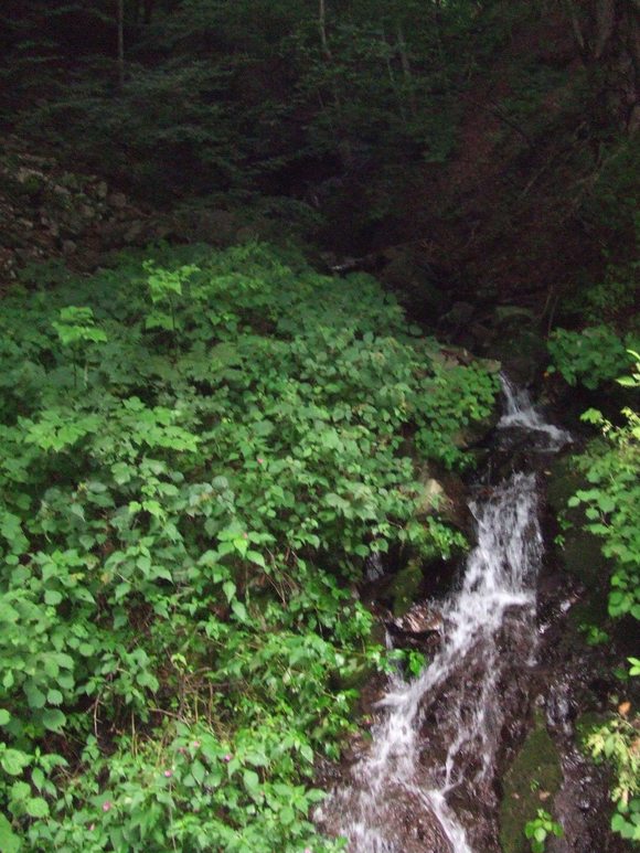 a0186689_10581344.jpg