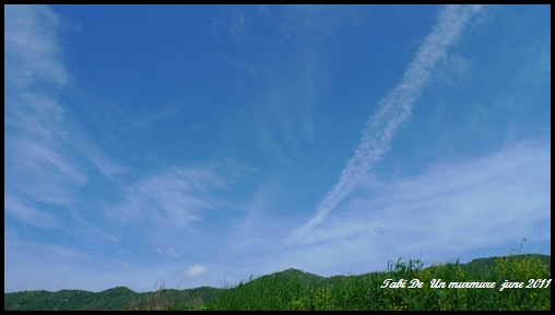 d0140490_6554226.jpg