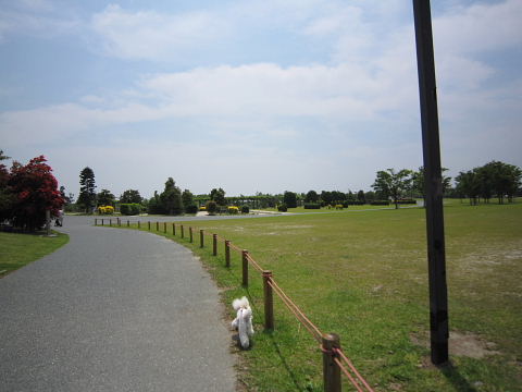 b0104592_16141052.jpg