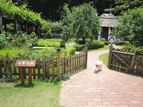 b0104592_16192820.jpg