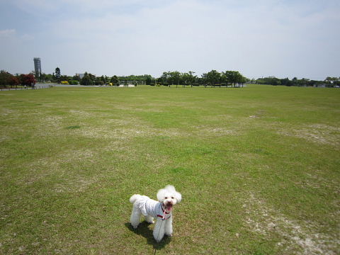 b0104592_16231270.jpg