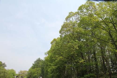 b0151893_15591274.jpg