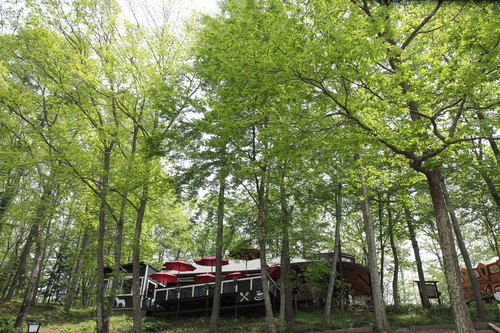 b0151893_1612786.jpg