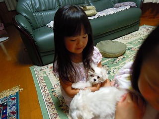 f0176194_1031181.jpg
