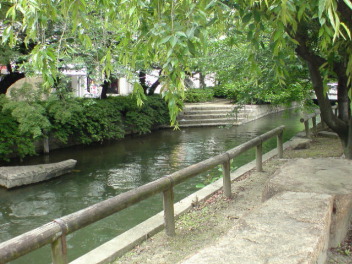 e0026495_196642.jpg