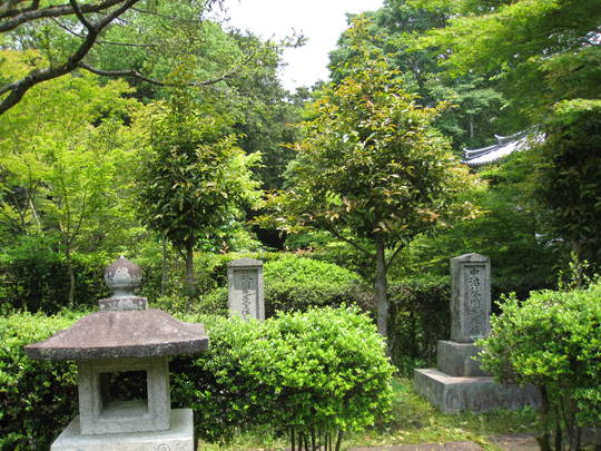 f0010195_2155610.jpg