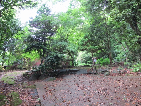 a0166196_14354680.jpg