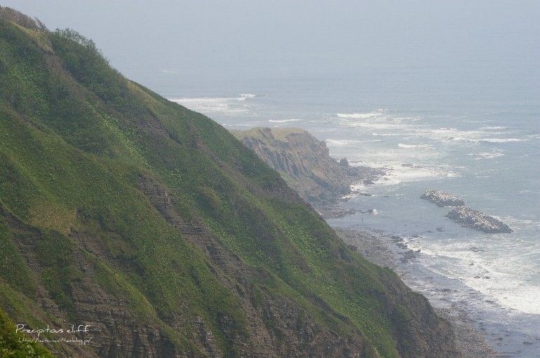 d0124100_21551035.jpg