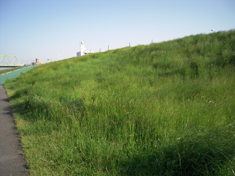 a0060003_6503415.jpg