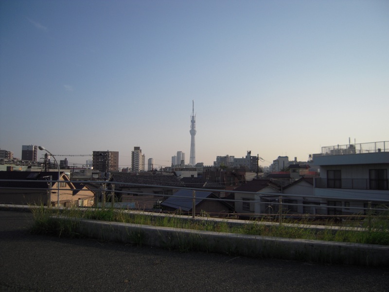 a0060003_6511483.jpg