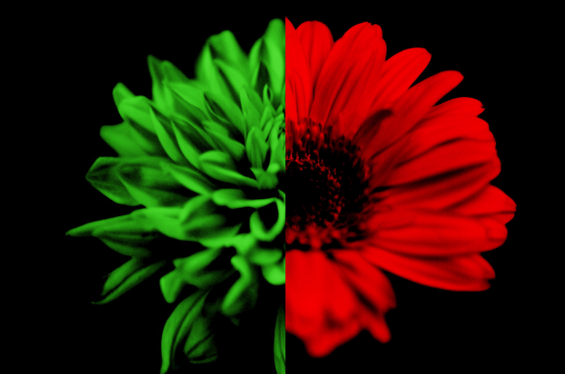 a0157704_3305527.jpg
