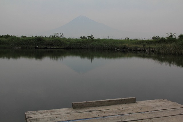 a0188405_14161858.jpg