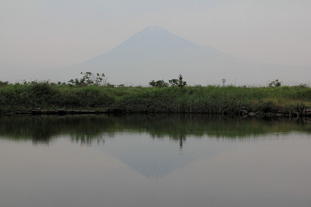 a0188405_14163041.jpg