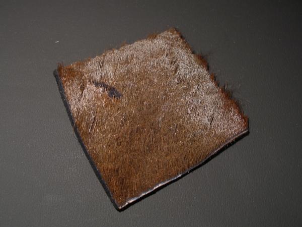 a0176707_8262388.jpg