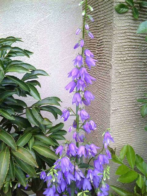 c0132608_17461528.jpg