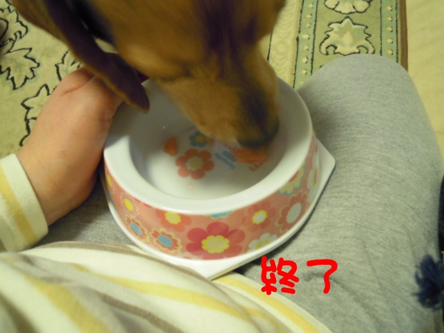 c0166622_11243173.jpg
