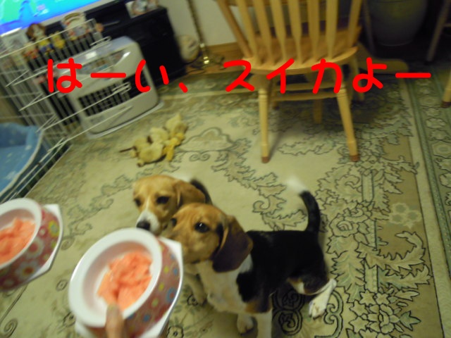 c0166622_1124327.jpg