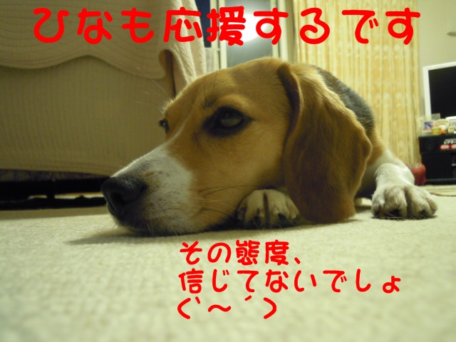 c0166622_11371288.jpg