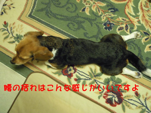 c0166622_11373881.jpg