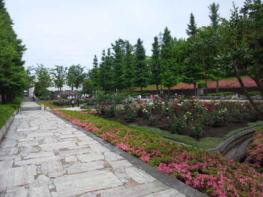 b0199924_15311618.jpg