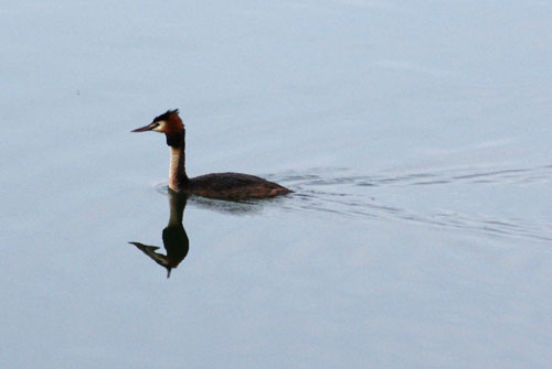 c0184125_16594640.jpg