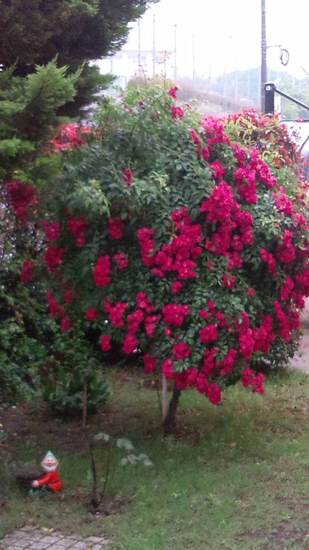 c0173826_2151364.jpg