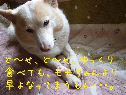 b0138430_21494671.jpg