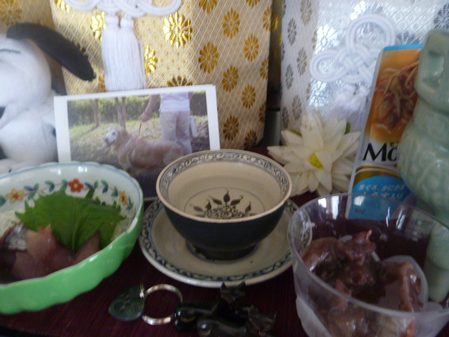 e0142430_1026572.jpg