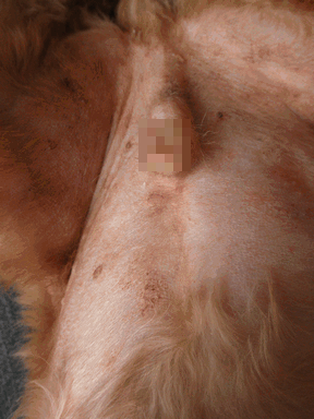 c0136736_17301181.gif
