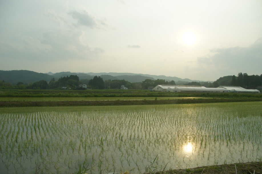 b0024339_22554859.jpg