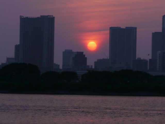 b0190242_242256.jpg