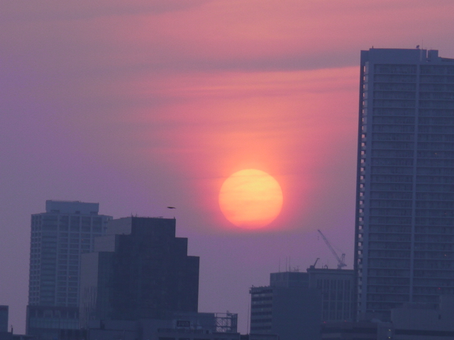 b0190242_242549.jpg
