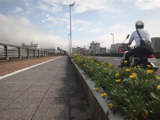 b0199742_2274535.jpg