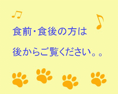 a0142343_1335493.gif