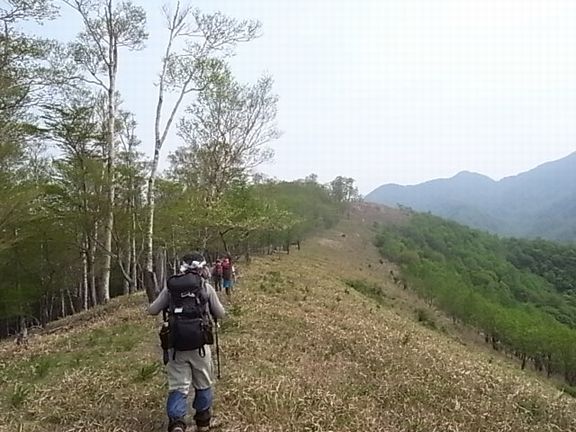 e0007544_7421929.jpg