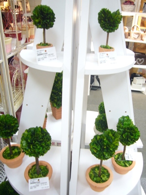 e0100046_2151119.jpg