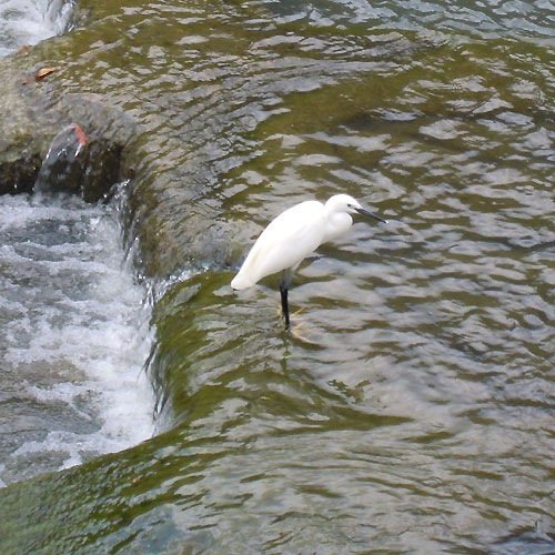 e0034047_17145695.jpg