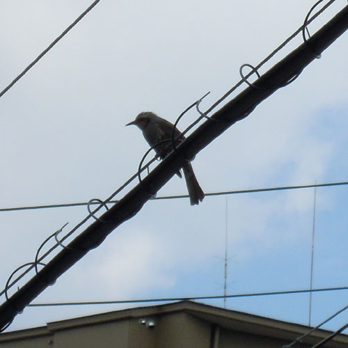 e0034047_17161488.jpg