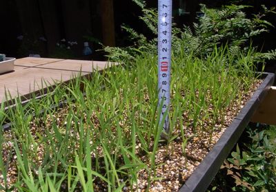 c0063348_2117598.jpg