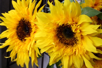 b0148450_14584317.jpg