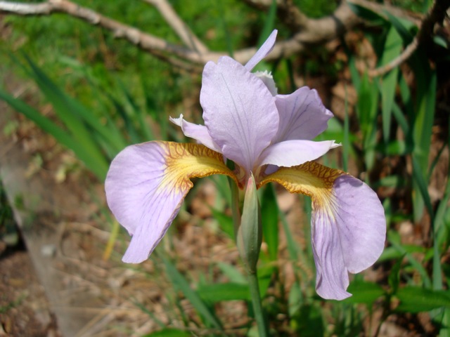 f0198556_17272087.jpg