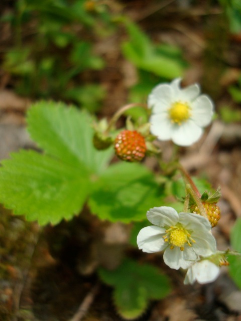 f0198556_17304868.jpg