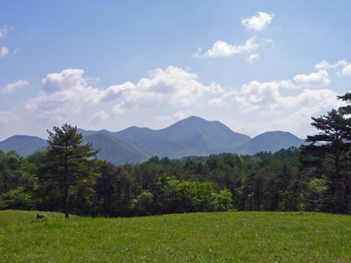 b0045357_8493640.jpg
