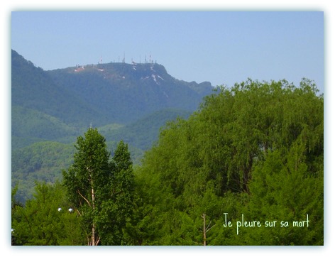 b0175163_13592938.jpg