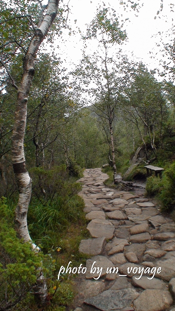 b0214764_1534191.jpg
