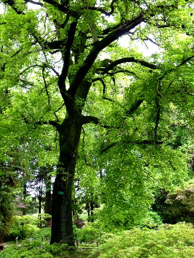 d0084473_20172044.jpg