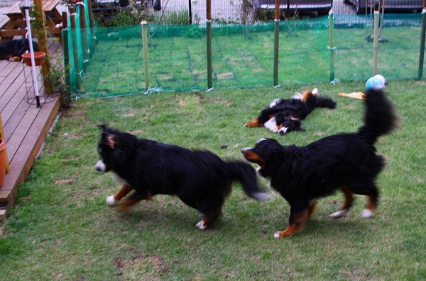 c0149178_17363931.jpg