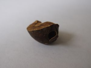 c0188178_1315182.jpg