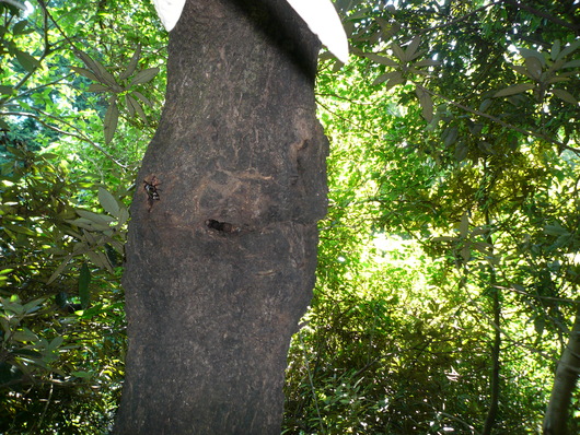 f0183484_2351418.jpg