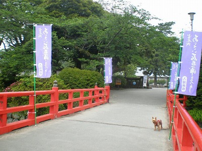 e0123587_238911.jpg